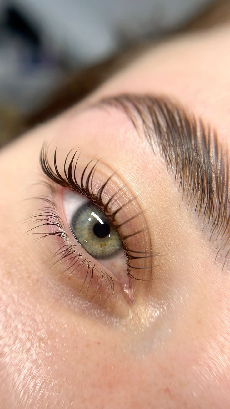 Lash Lift